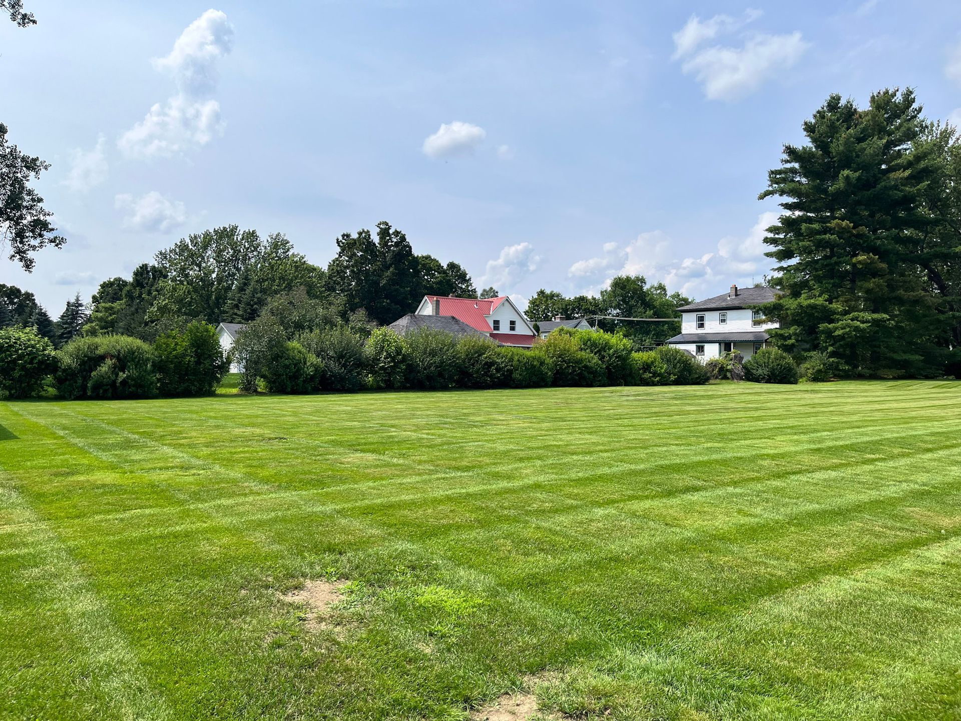 Residential lawn being maintained by NEK Tree Workz