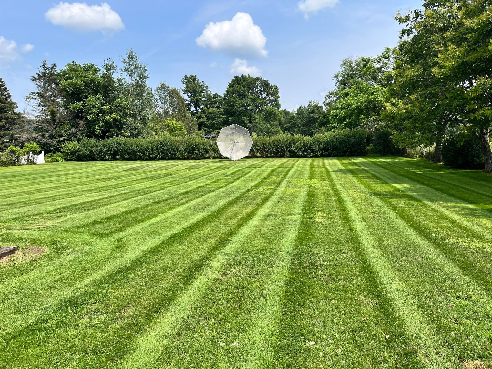 NEK Tree Workz after photo of a freshly mowed lawn