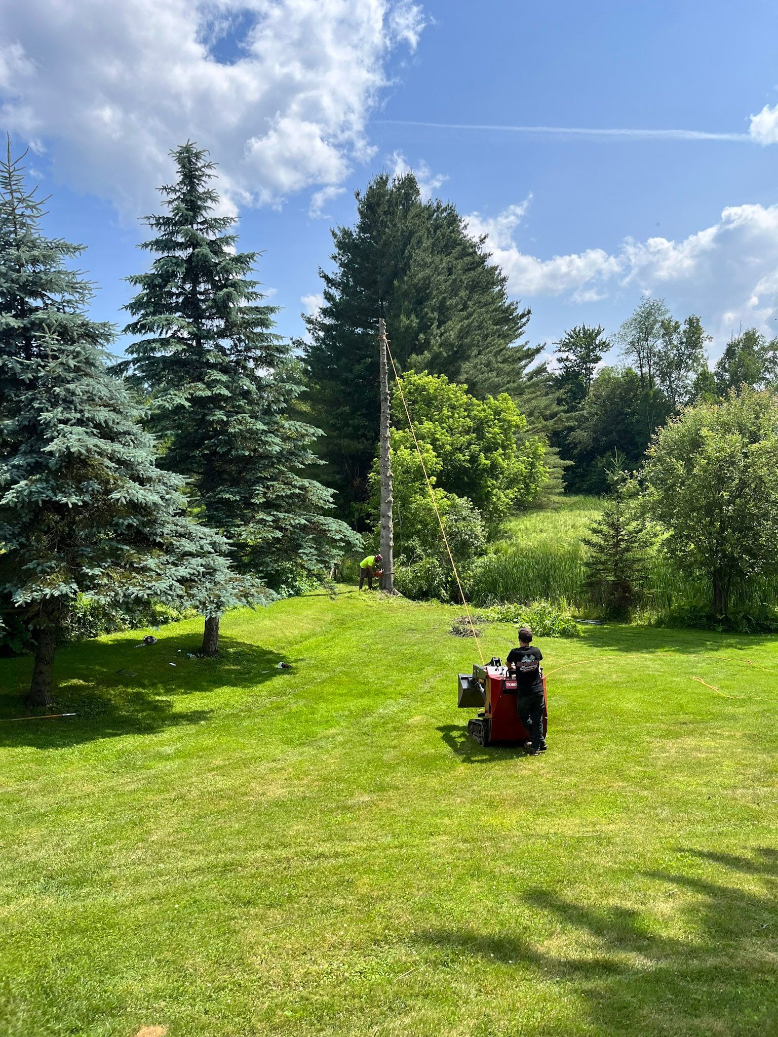 NEK Tree Workz lawn care services