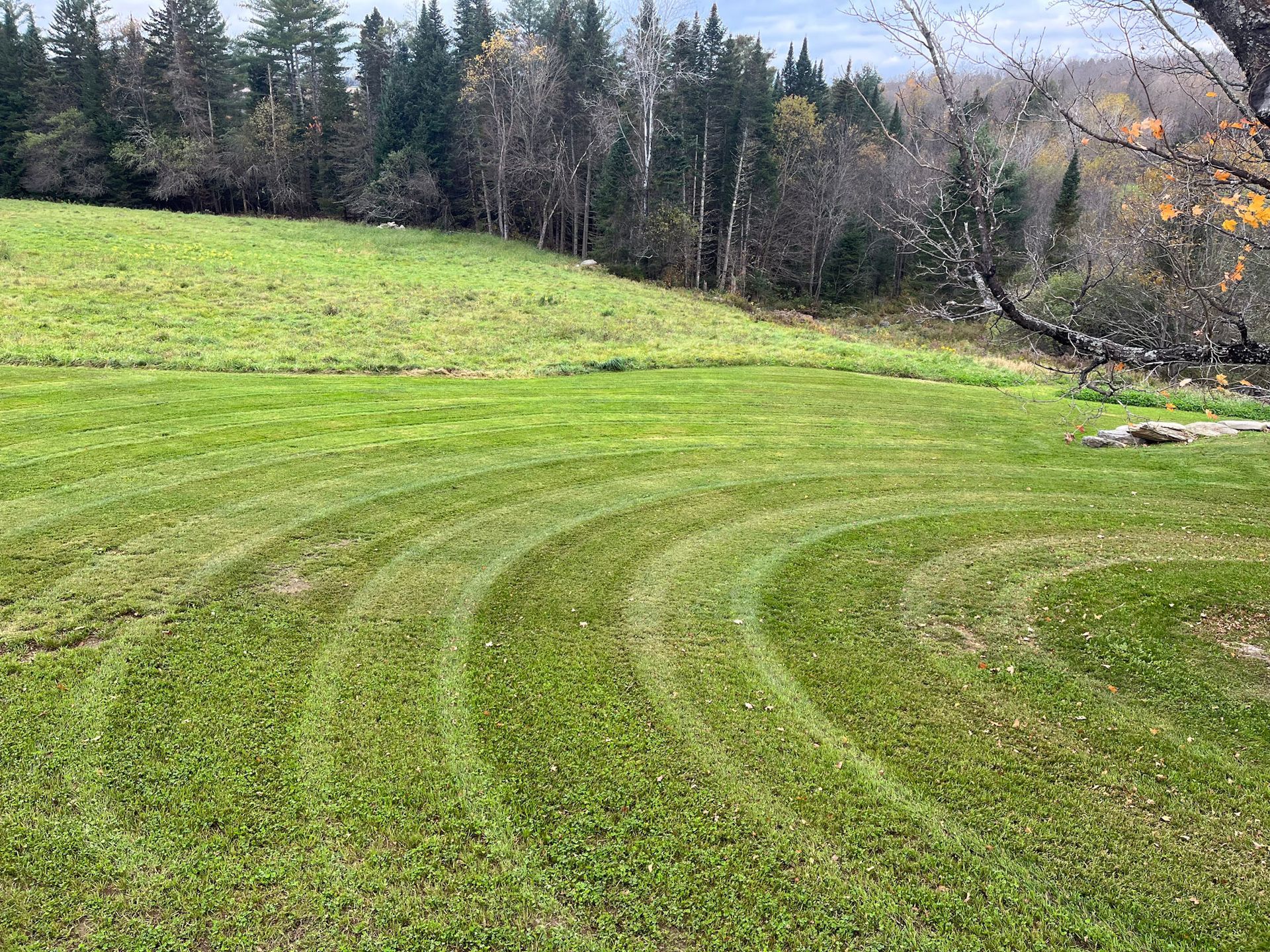 NEK Tree Workz maintaining a land and landscaping