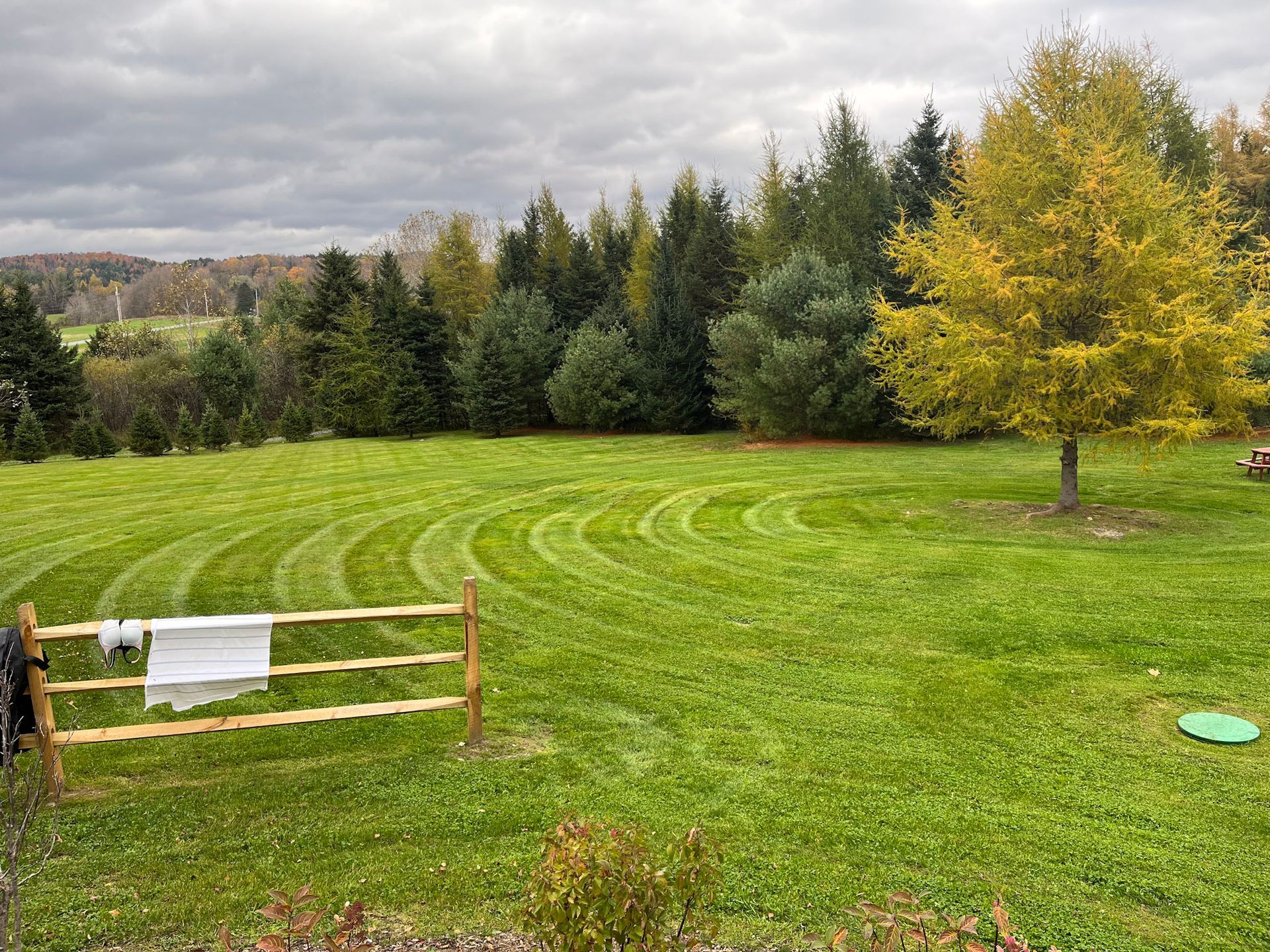 NEK Tree Workz after photo of a lawn they just completed