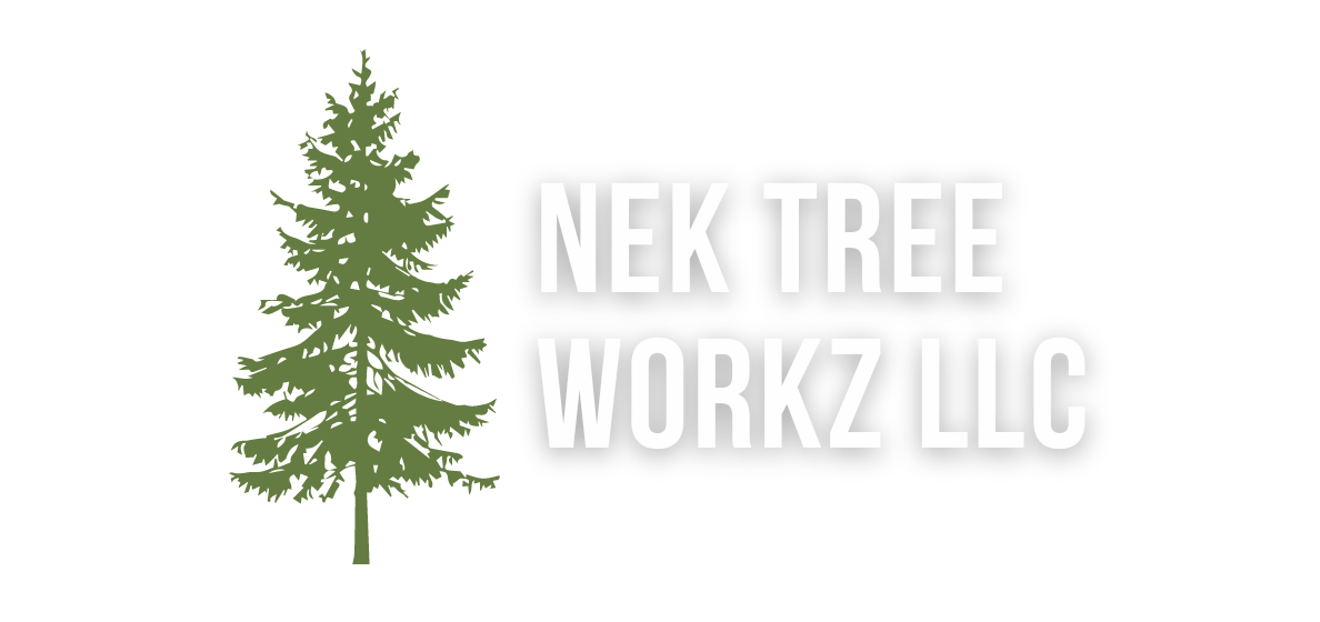 NEK Tree Workz LLC Orleans, VT logo