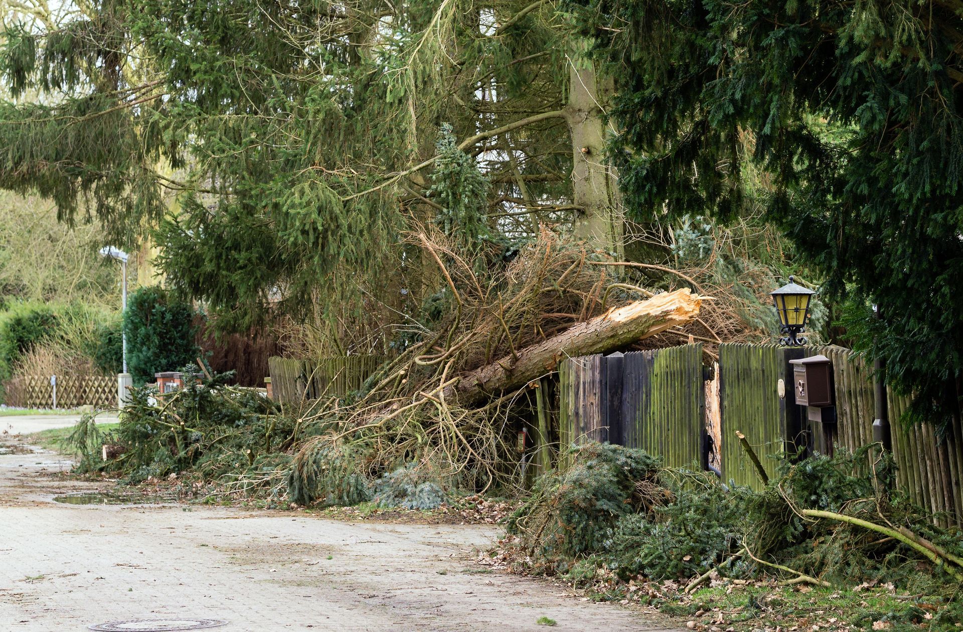 Storm damage of a blown-over tree lying on a wooden garden fence in the street