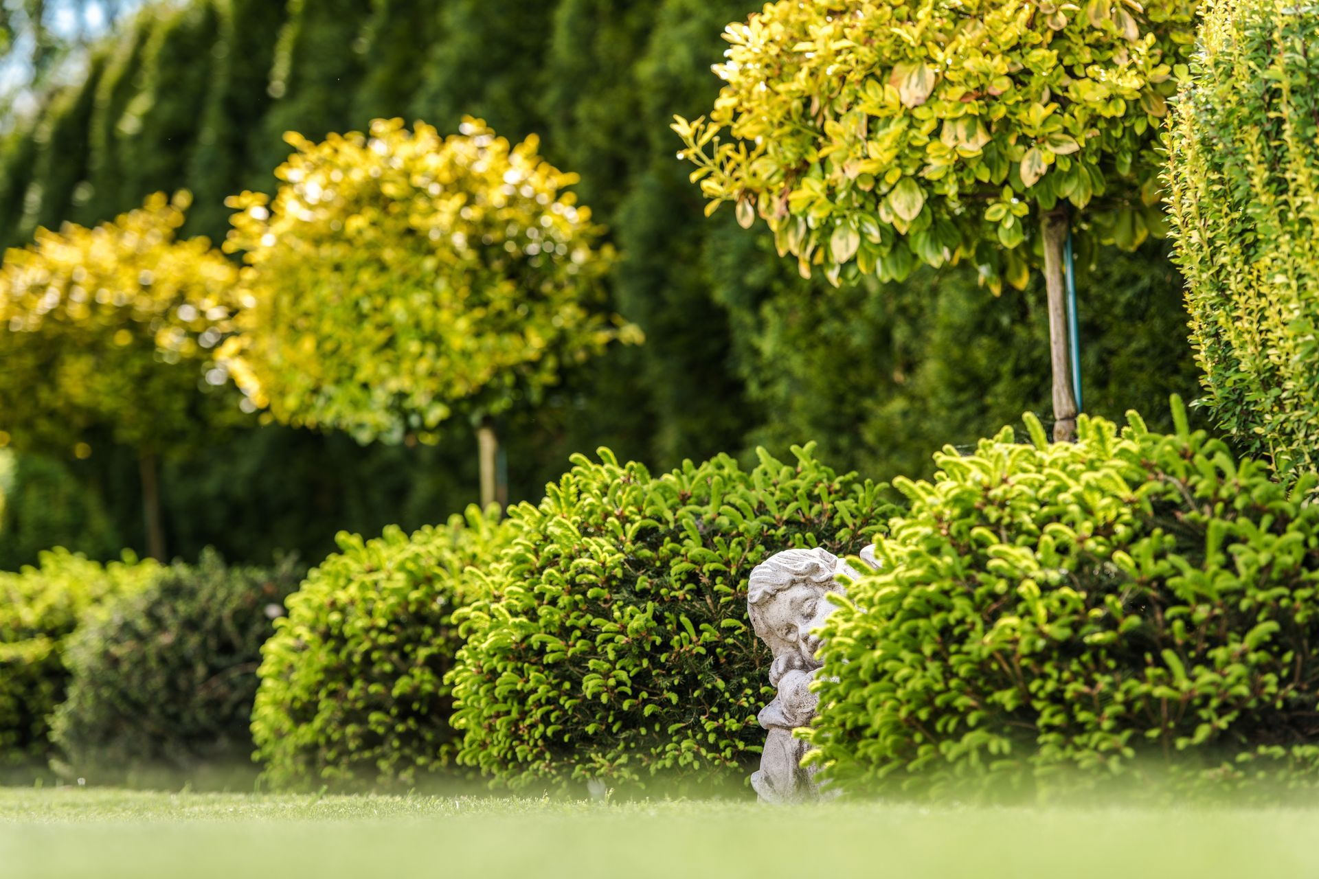 Beautifully pruned shrubs and topiaries 