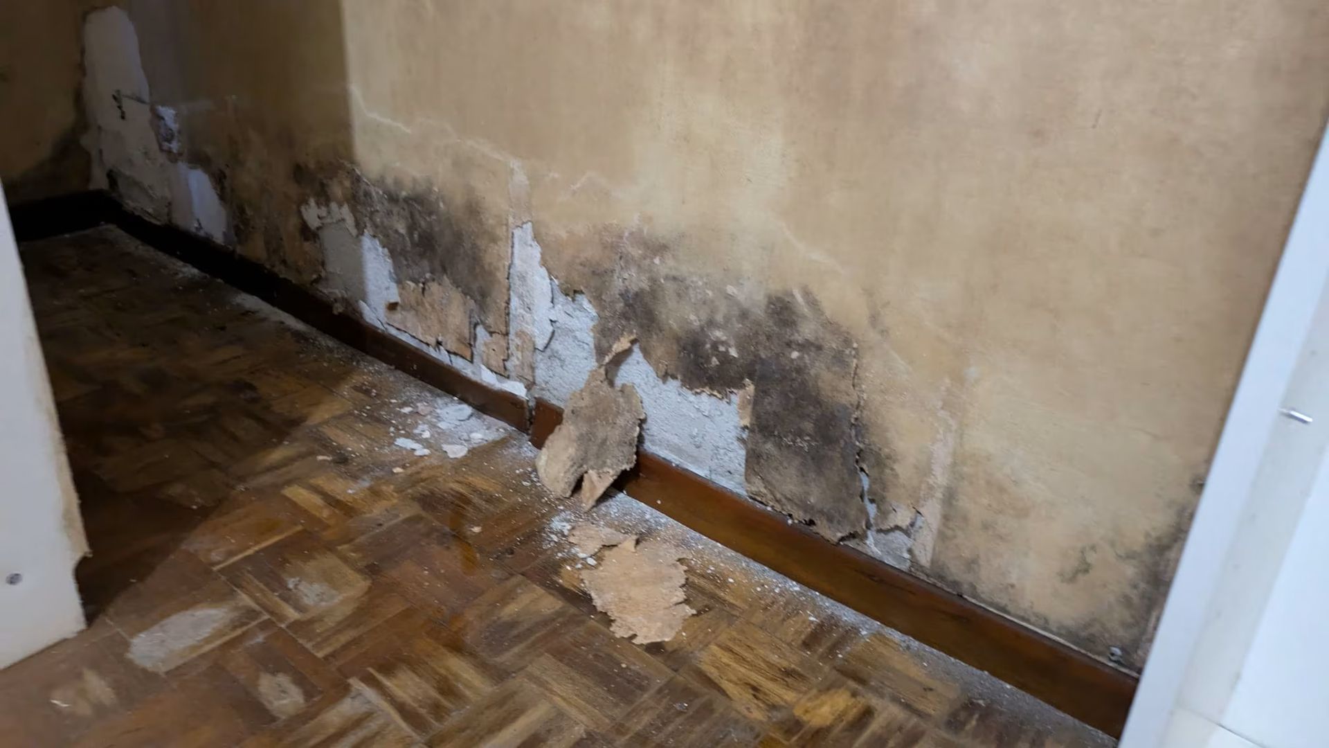 Parete danneggiata dall'acqua con vernice scrostata e macchie di muffa sopra un pavimento in legno in un corridoio