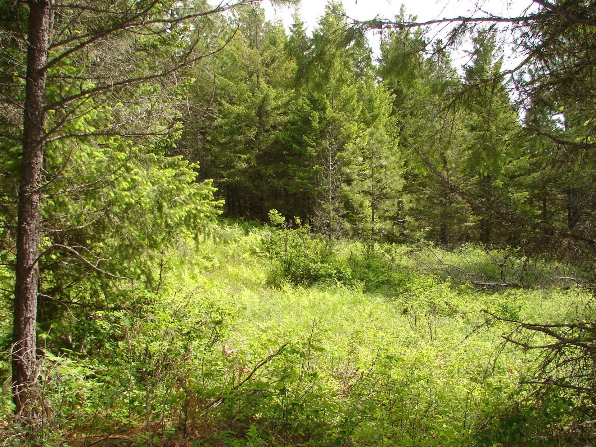 Boundary County Idaho Property for Sale