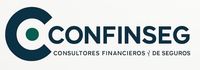 Confinseg
