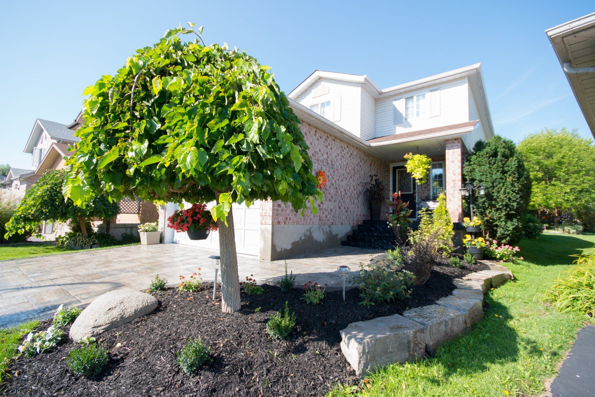 Front Yard Landscaping
