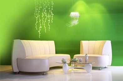 a and m advanced painting and decorating green wall with sofa