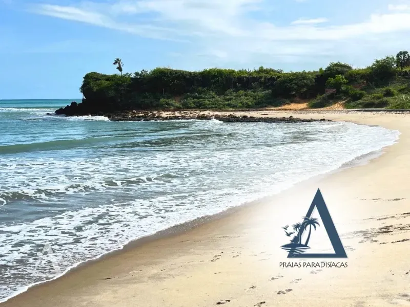 Vista da Praia de Tourinhos com suas famosas falésias e mar calmo, um dos principais pontos turísticos de São Miguel do Gostoso, Rio Grande do Norte.