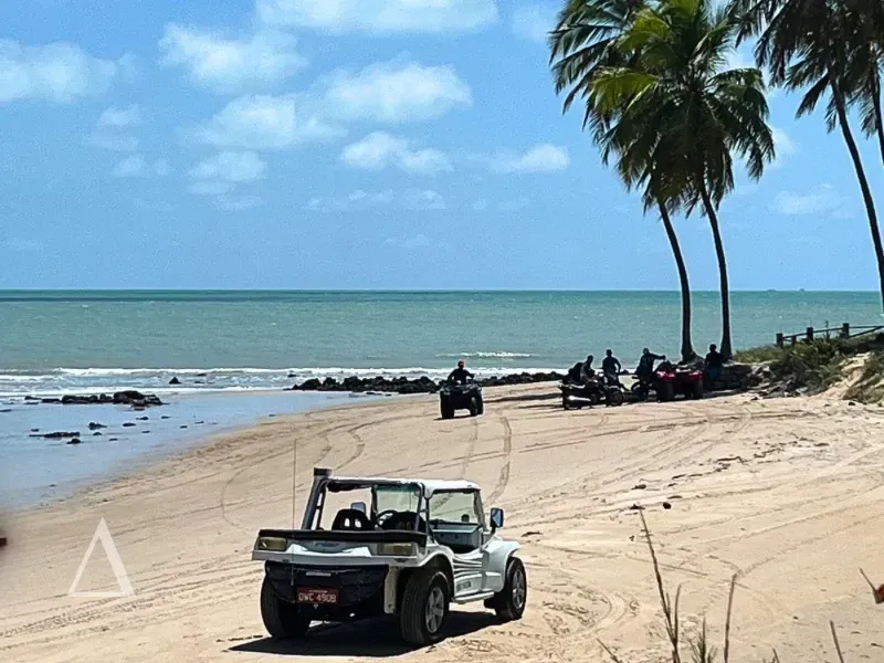 Buggy branco e grupo em quadriciclos na areia da praia, cercados por coqueiros e mar azul em São Miguel do Gostoso.