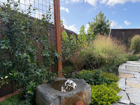 basalt bird bath with jasmine trellis and flagstone pathway with bird and pollinator friendly plantings with grasses
