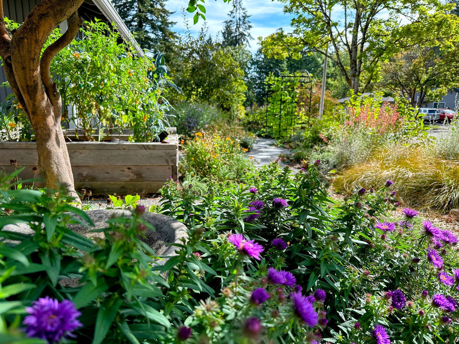 front yard pollinator food forest landscape no lawn