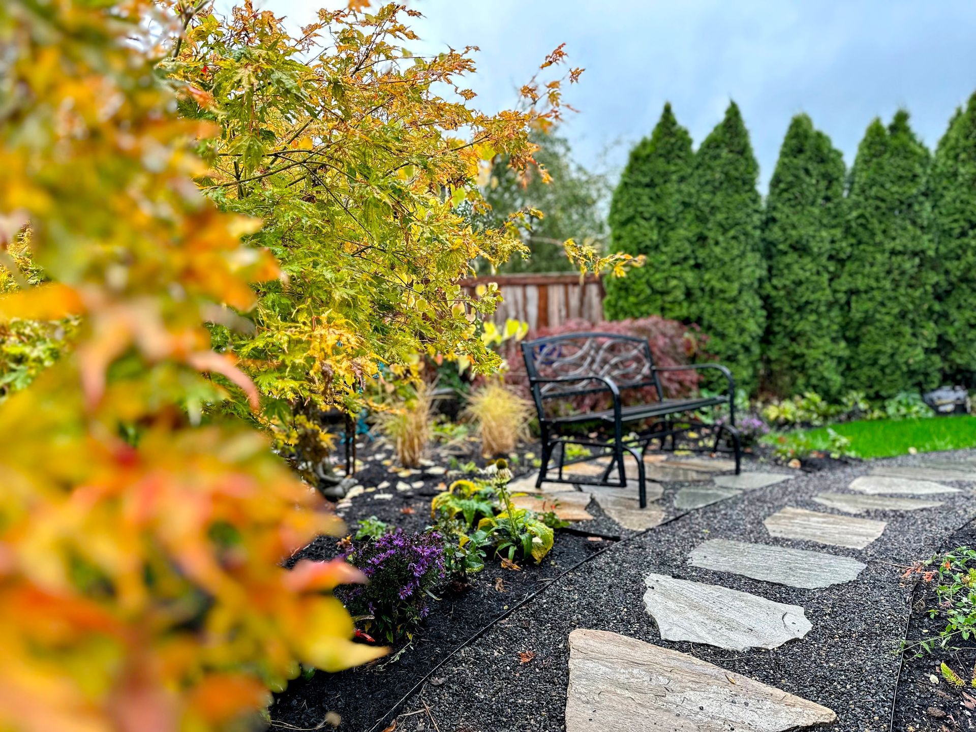front yard pollinator food forest landscape no lawn