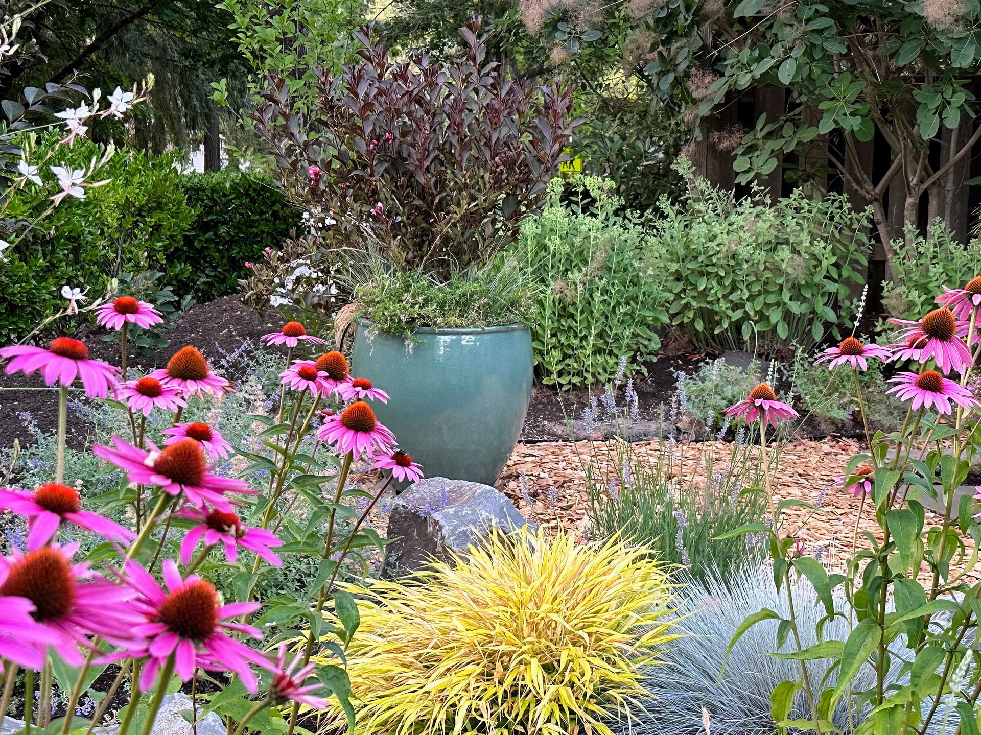 Pollinator plants front yard with focal bright color container and natural wood chip pathway.
