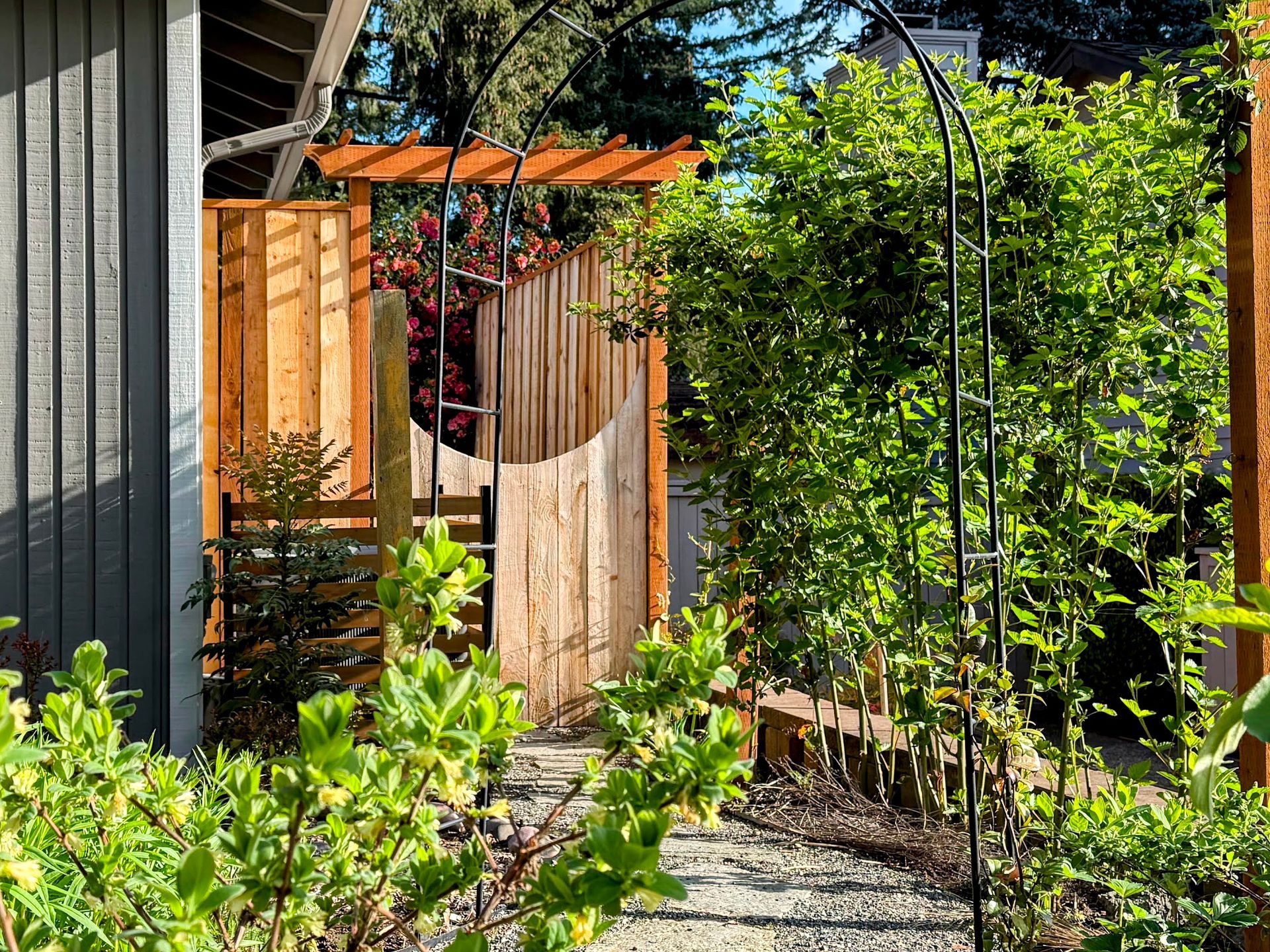 front yard pollinator food forest landscape no lawn