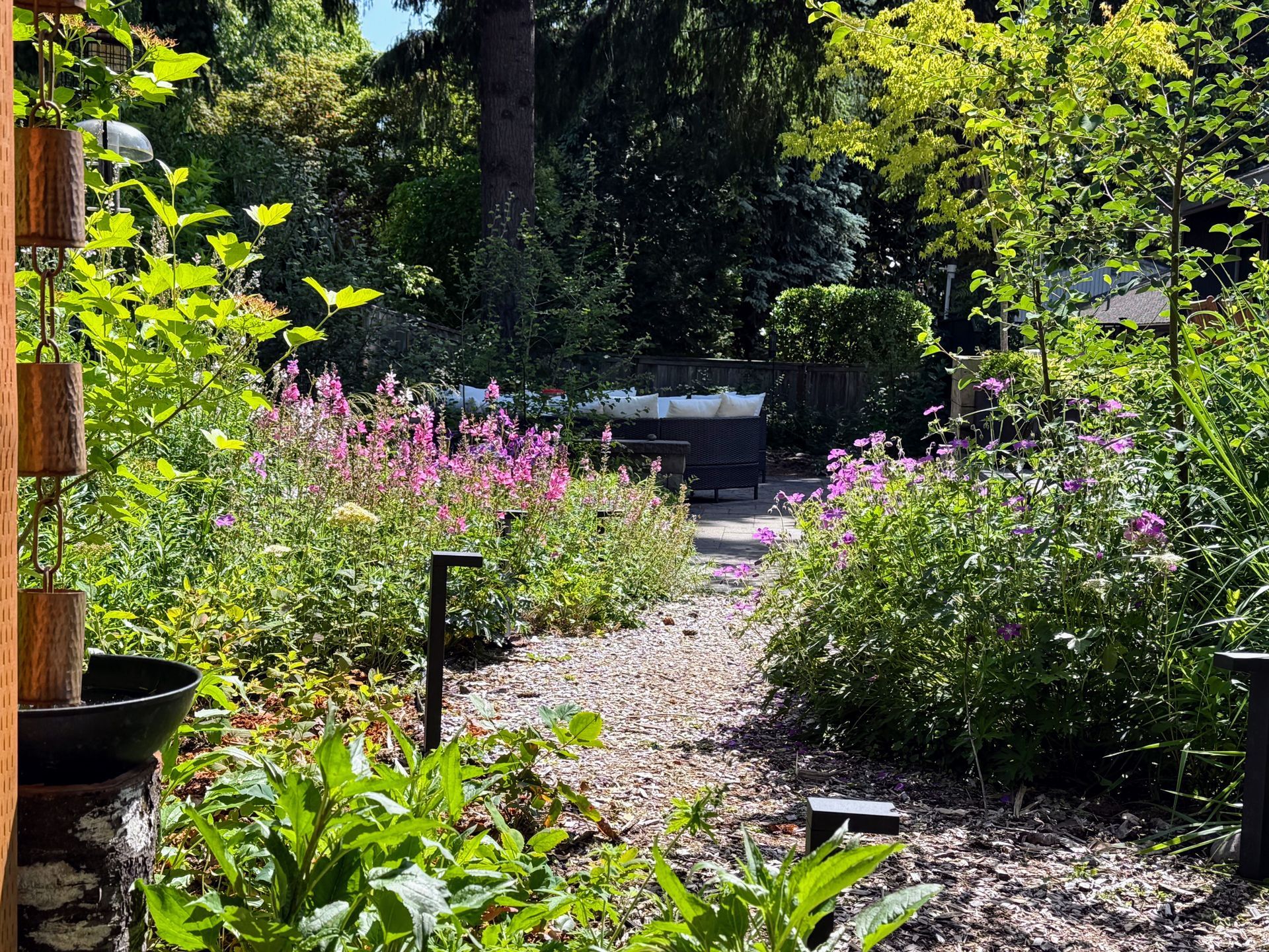 native plant woodland bird bath with nurse logs