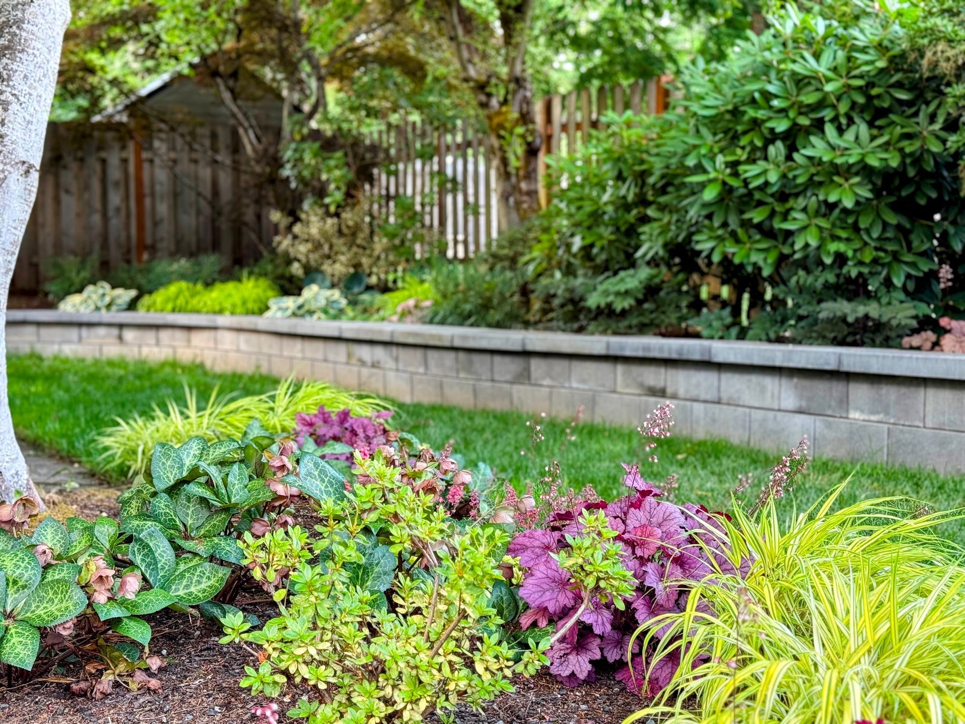 front yard pollinator food forest landscape no lawn