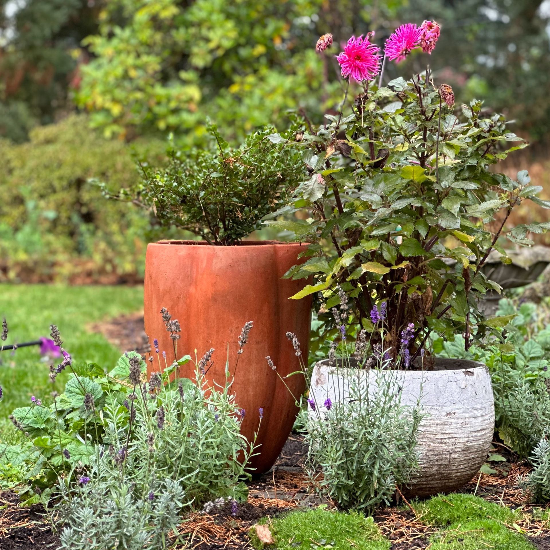 container design in the landscape