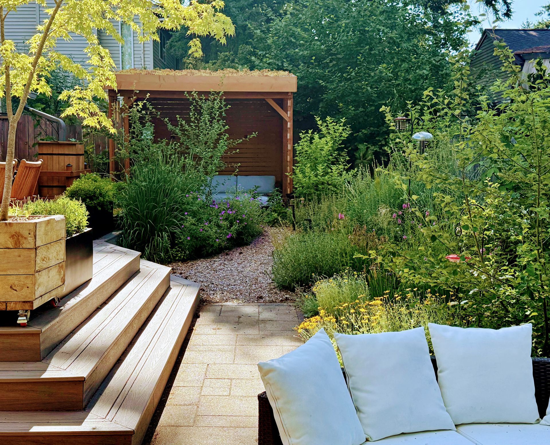 native plant woodland bird bath with nurse logs