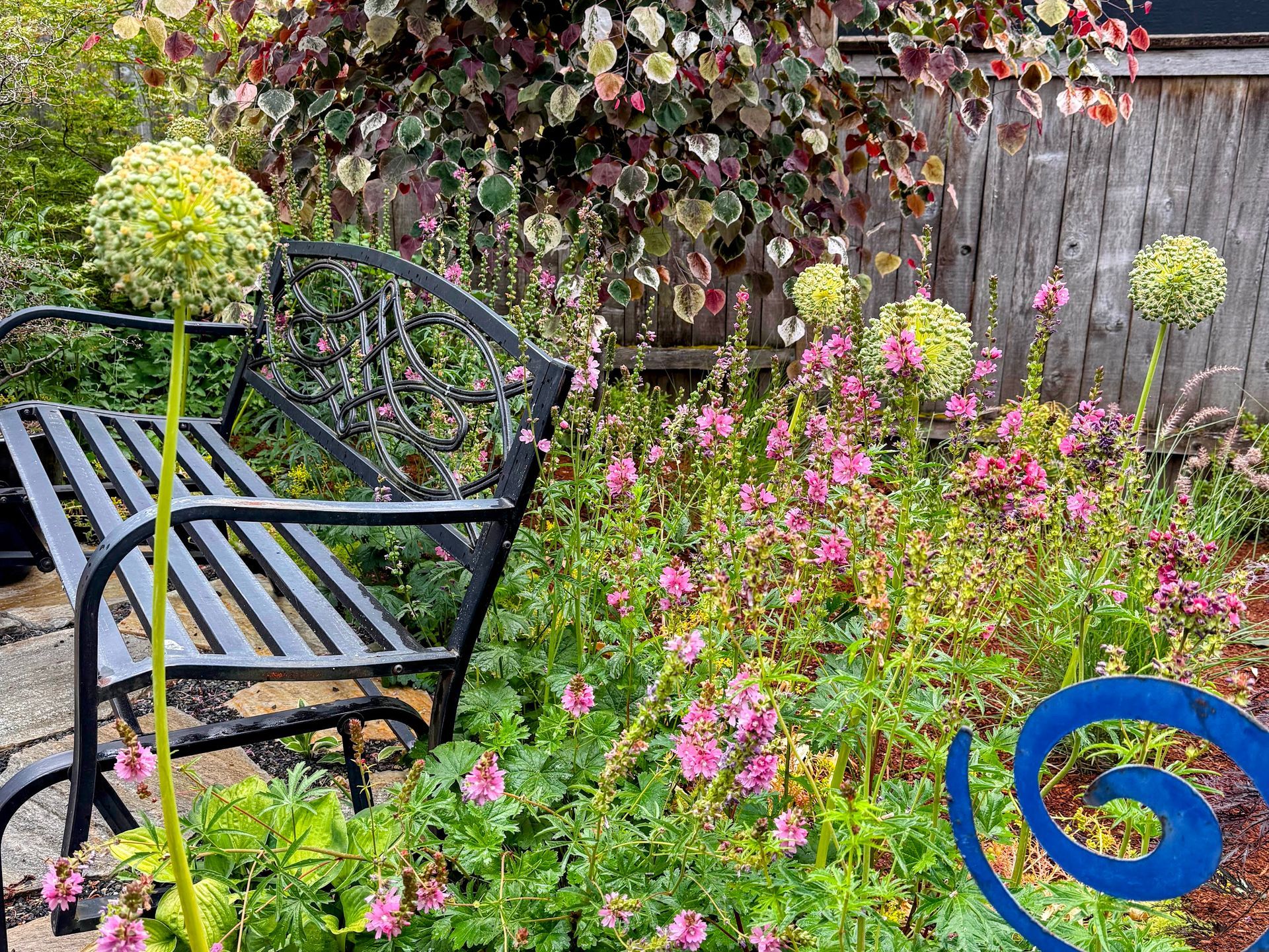 front yard raised garden beds and flagstone pathway with pollinator plants