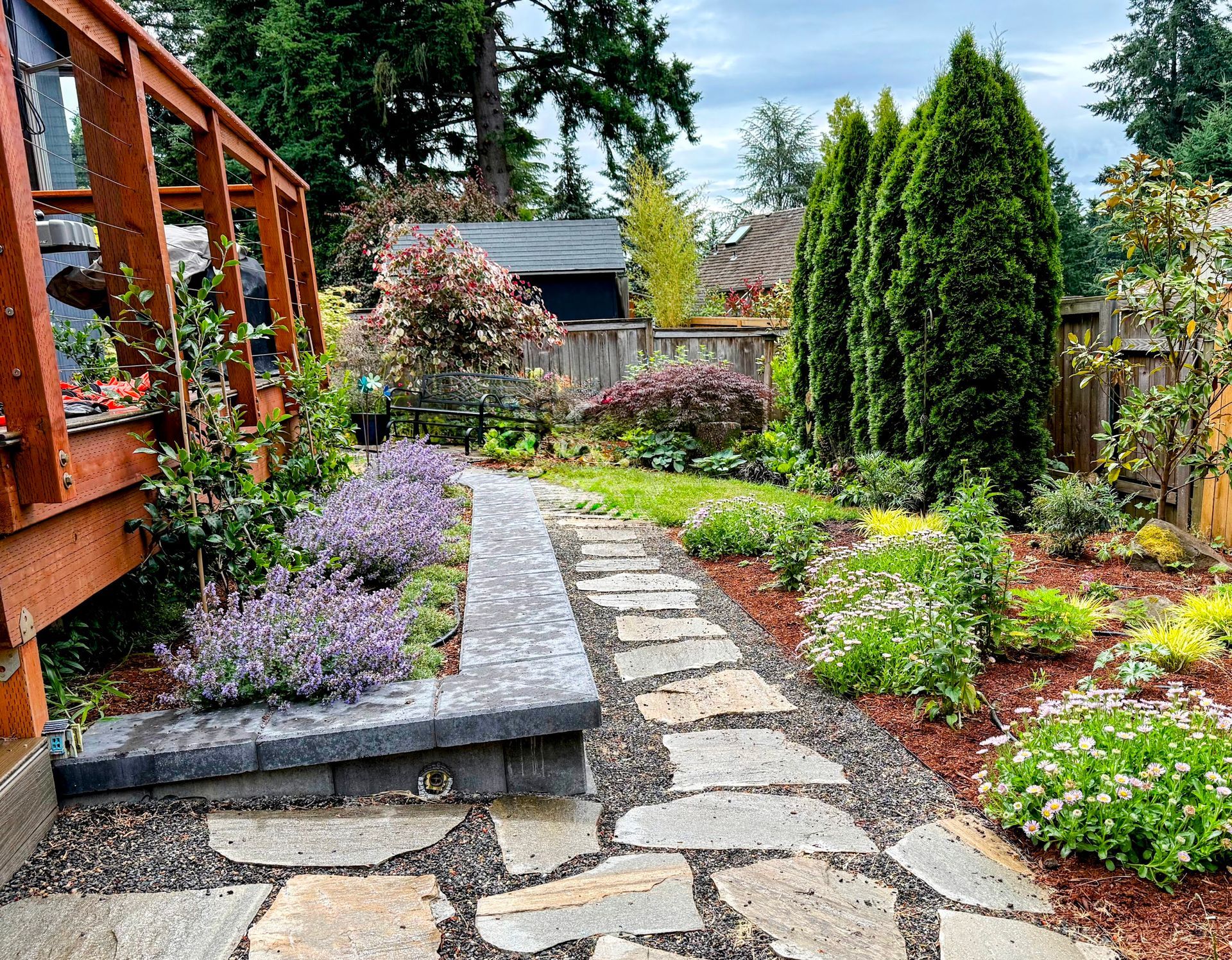 front yard pollinator plants drought tolerant low water no lawn