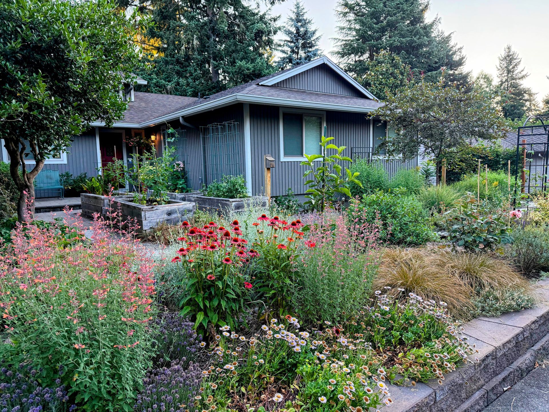 front yard raised garden beds and flagstone pathway with pollinator plants