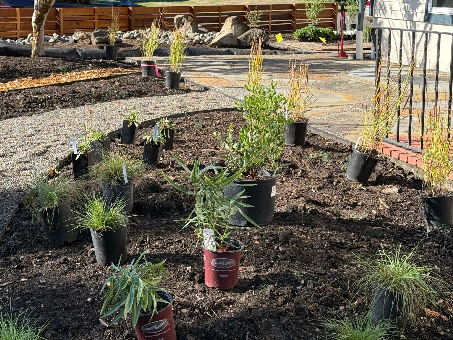 Garden design with native plants and rain garden