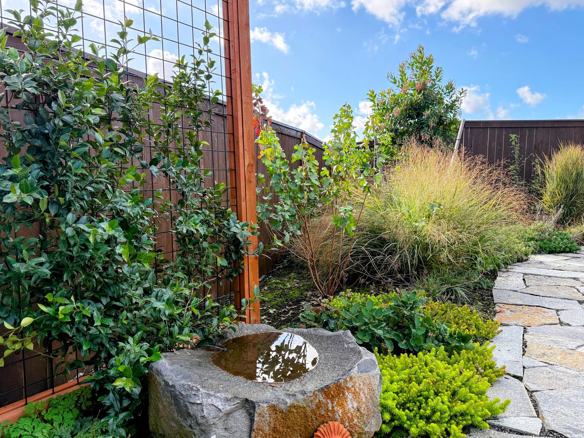 rain barrels with overflow to rain garden and echinacea with bumble bee