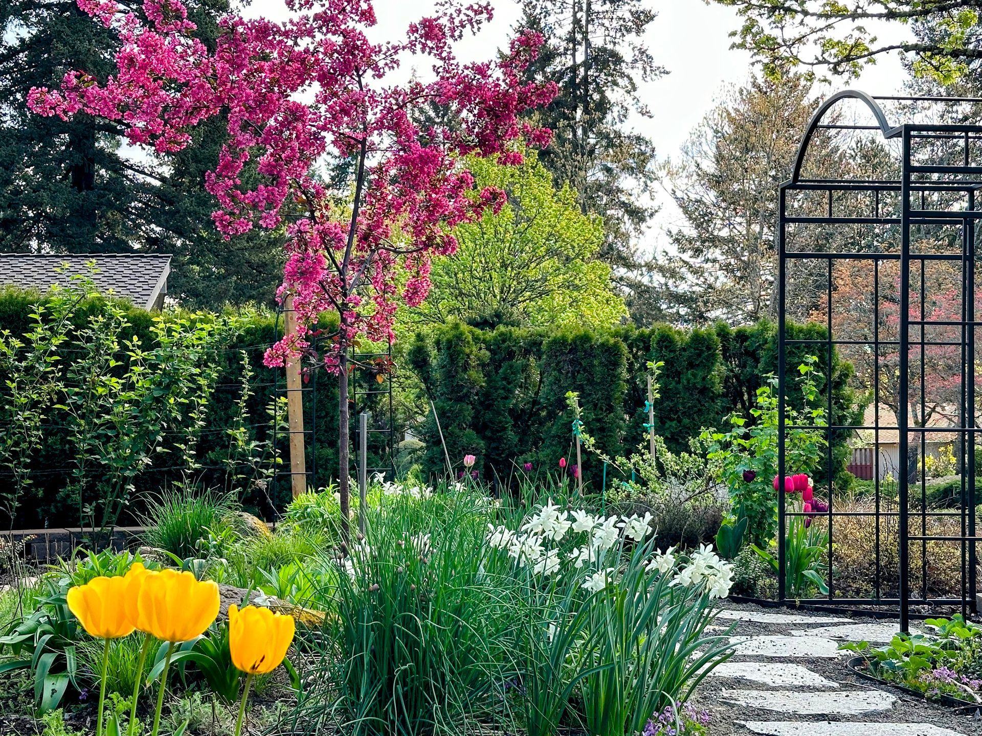 front yard raised garden beds and flagstone pathway with pollinator plants
