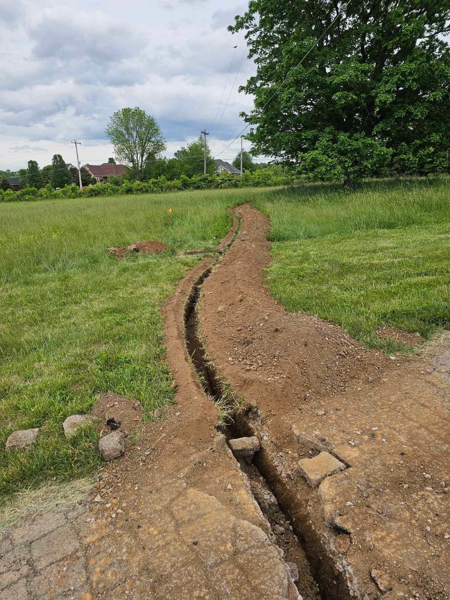 A dirt road going through a grassy field with trees in the background.