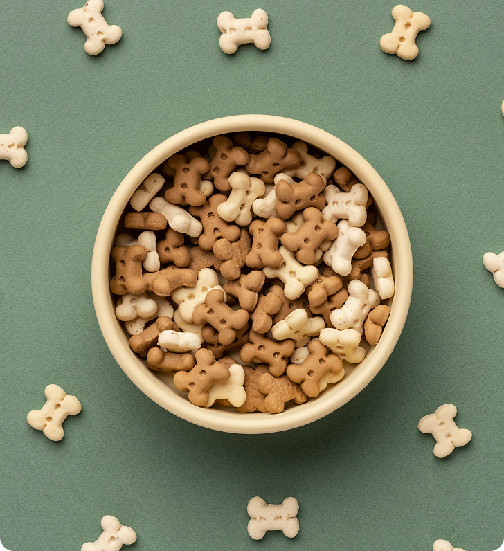 Cavapoo Puppies for sale, Cavapoo breeder, Cavapoo Puppy, Toy Cavapoo Puppies, Mini Cavapoo Puppies