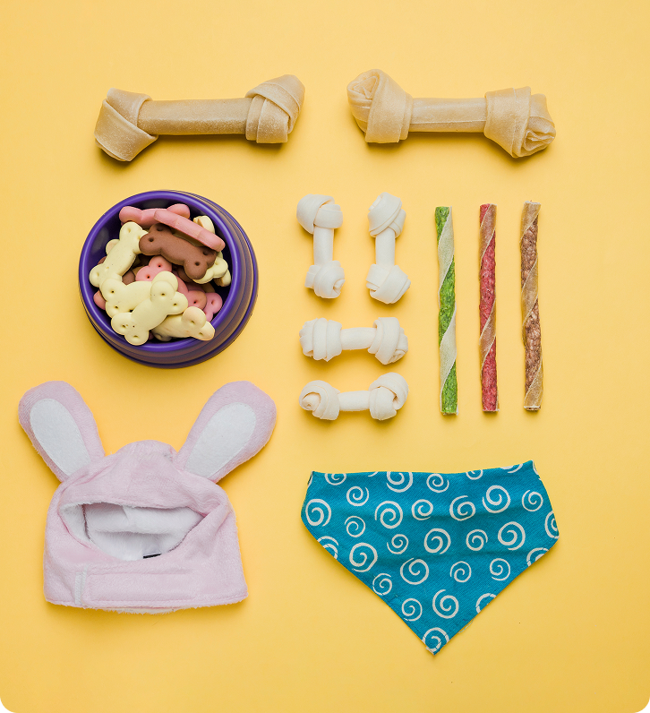 Cavapoo Puppies for sale, Cavapoo breeder, Cavapoo Puppy, Toy Cavapoo Puppies, Mini Cavapoo Puppies