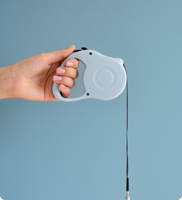 Cavapoo Puppies for sale, Cavapoo breeder, Cavapoo Puppy, Toy Cavapoo Puppies, Mini Cavapoo Puppies