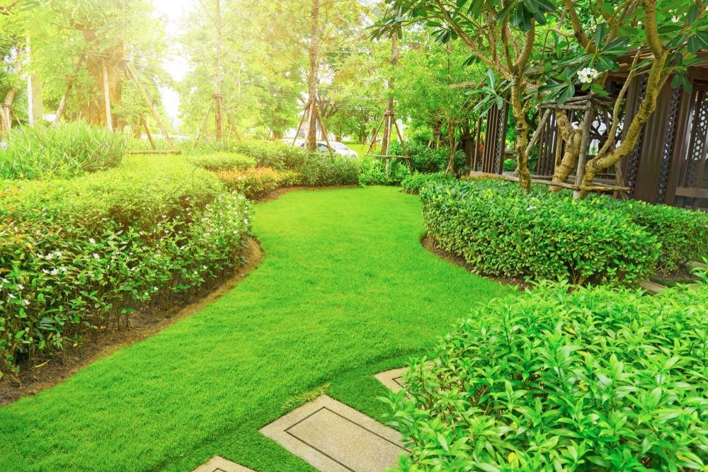Lush Green Garden With Manicured Lawn and Shrubs, a Stone Path — Affordable Tiles and Pavers In Morisset, NSW