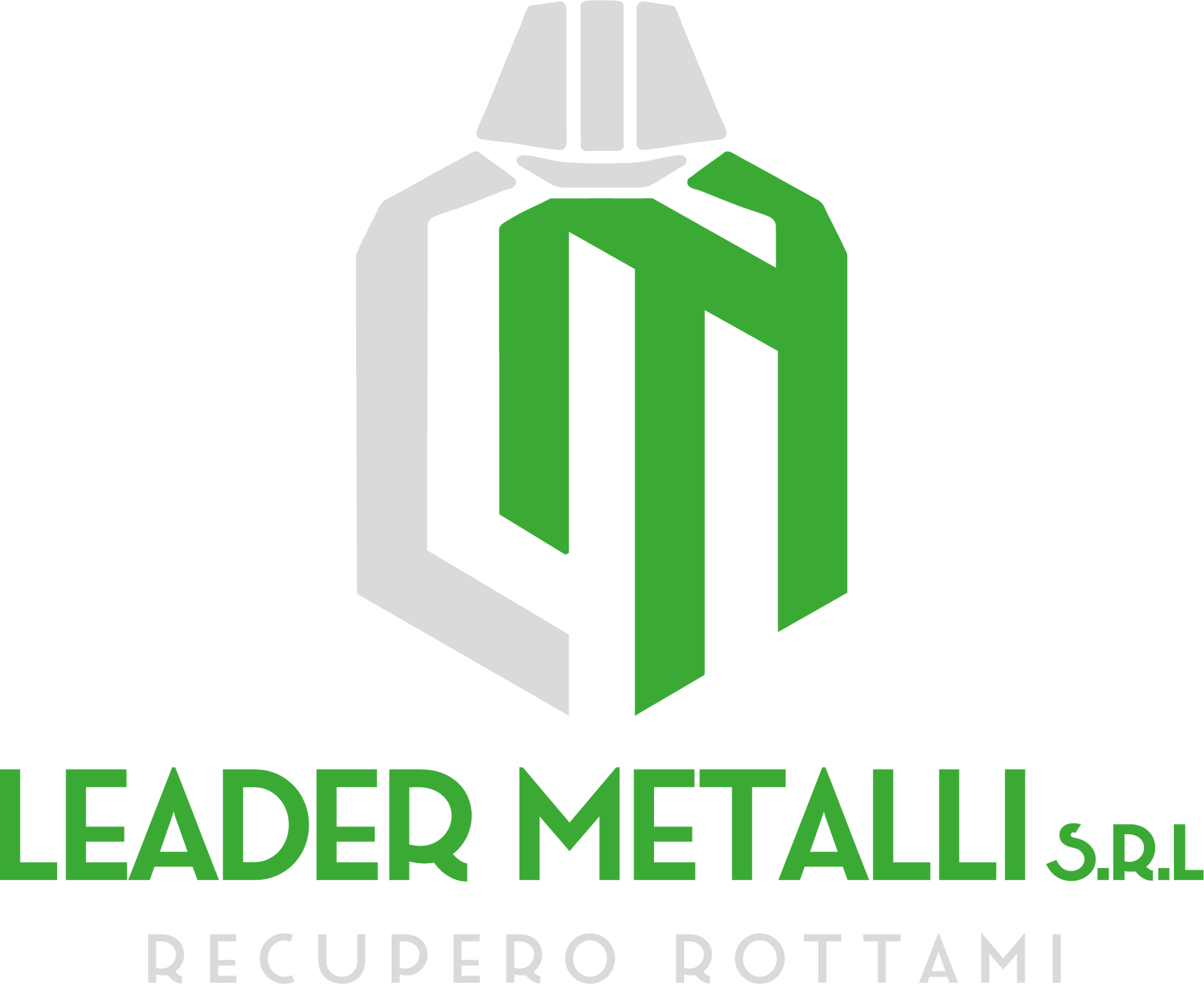 LEADER METALLI LOGO