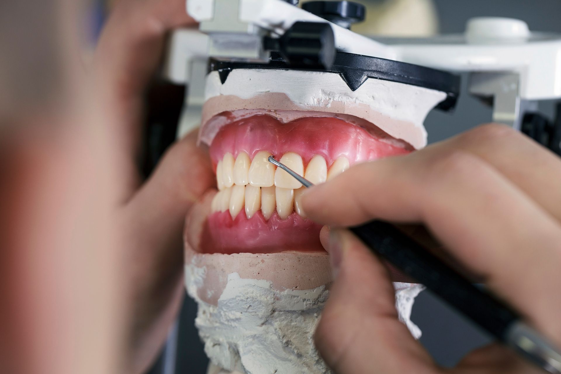 Dental model being cleaned with a tool near the front teeth