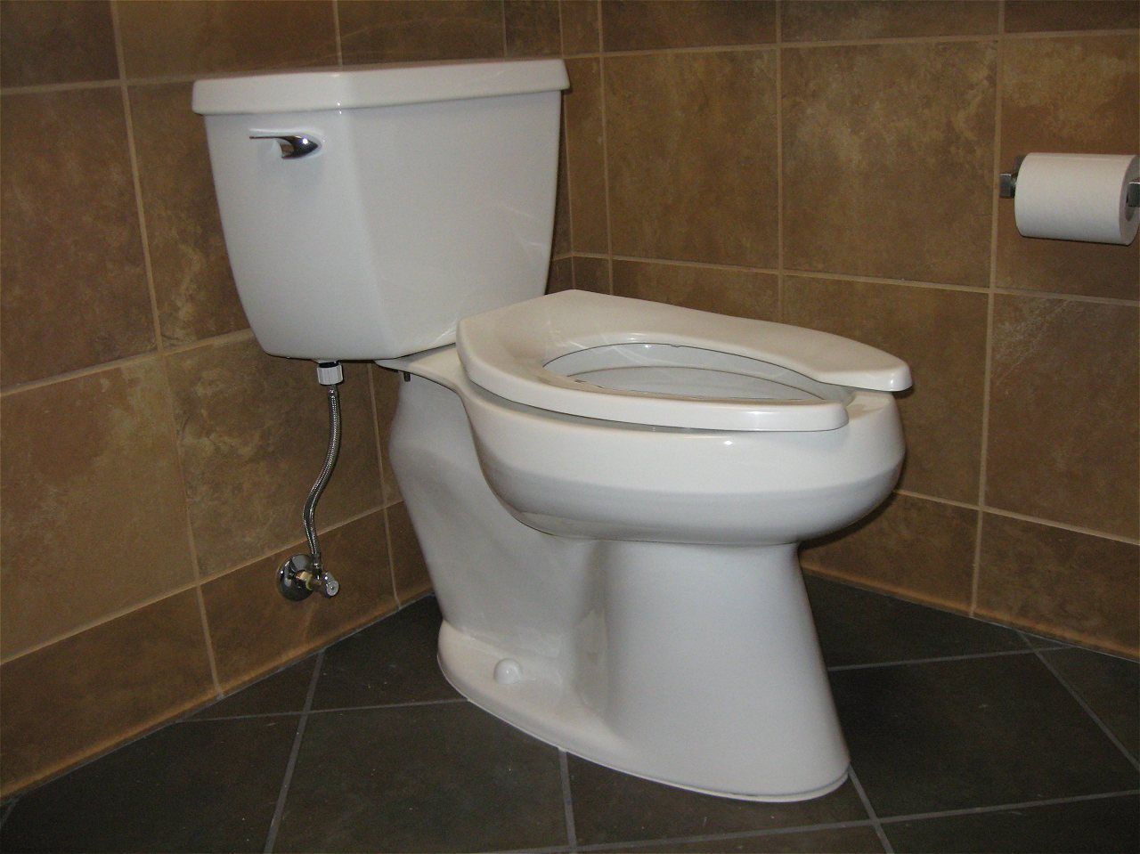 A White Toilet In A Bathroom Next To A Roll Of Toilet Paper | Wichita, KS | David Lies Plumbing