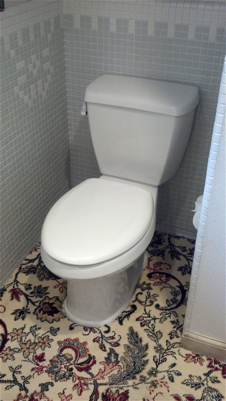 A Toilet Sits On A Floral Rug In A Bathroom | Wichita, KS | David Lies Plumbing