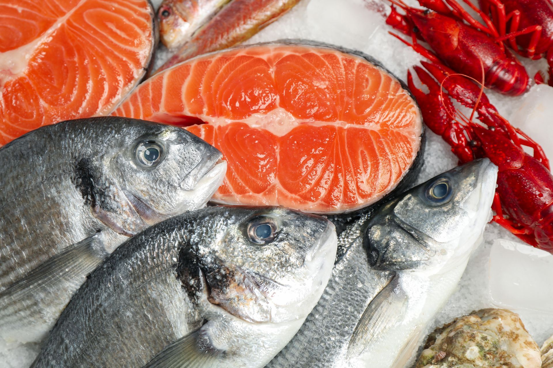 pesce e carne surgelati a comiso