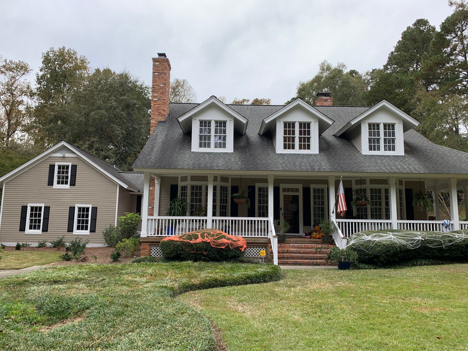 A can of beyond mango drink on a blue background
