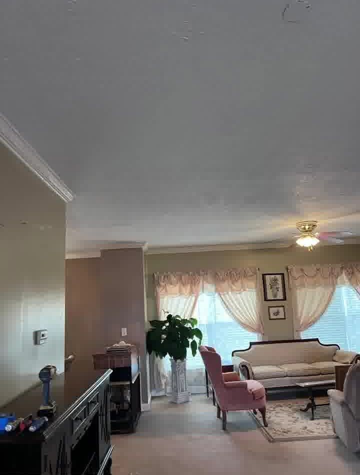 Living room with white walls, pink accents, and a large plant.