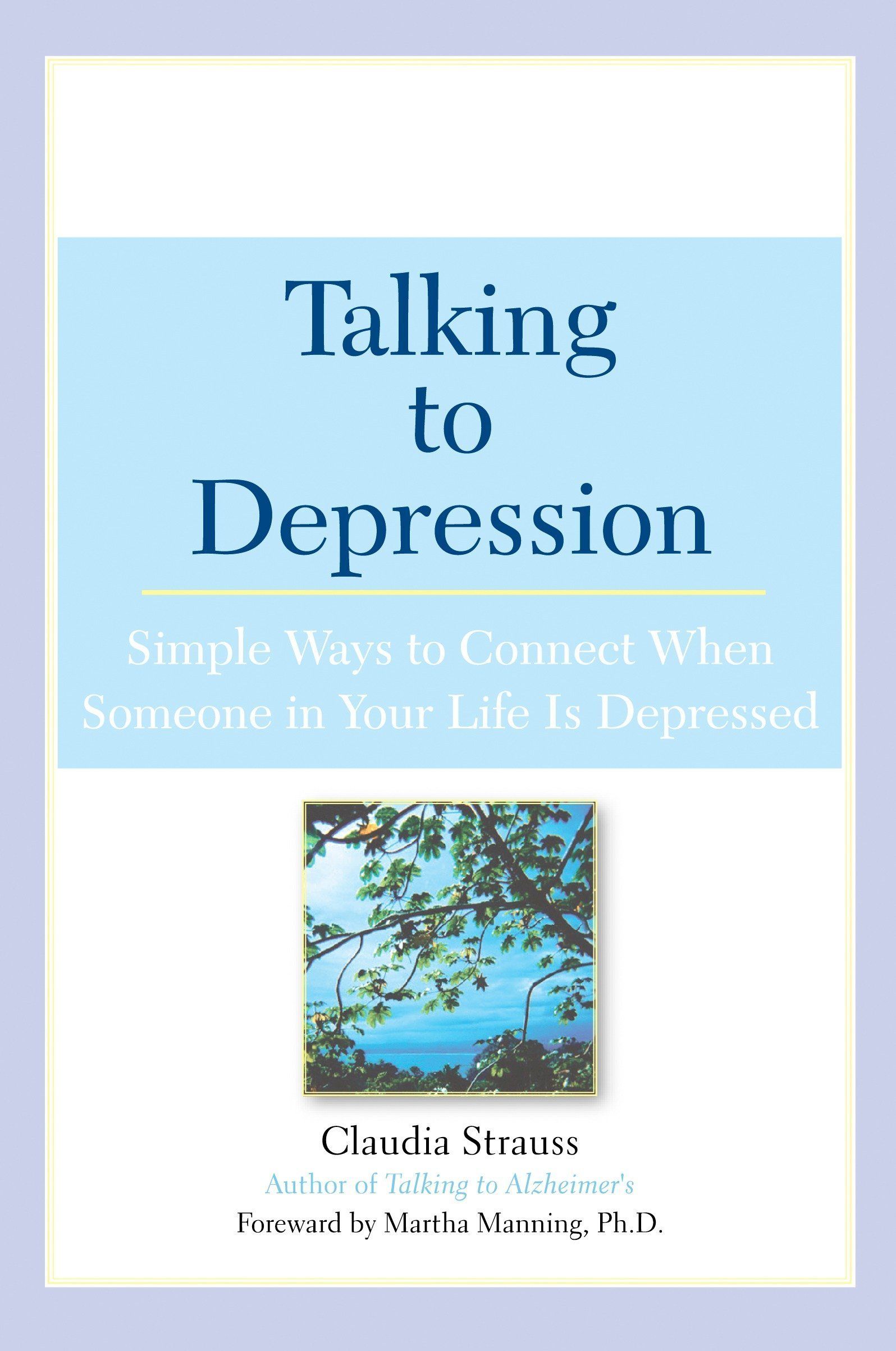 Book Cover - Talking to Depression: Simple Ways to Connect When Someone in Your Life is Depressed by Claudia J. Strauss (2006)