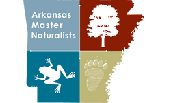 Logo for Arkansas Master Naturalists: State outline divided into four sections with text and nature symbols.