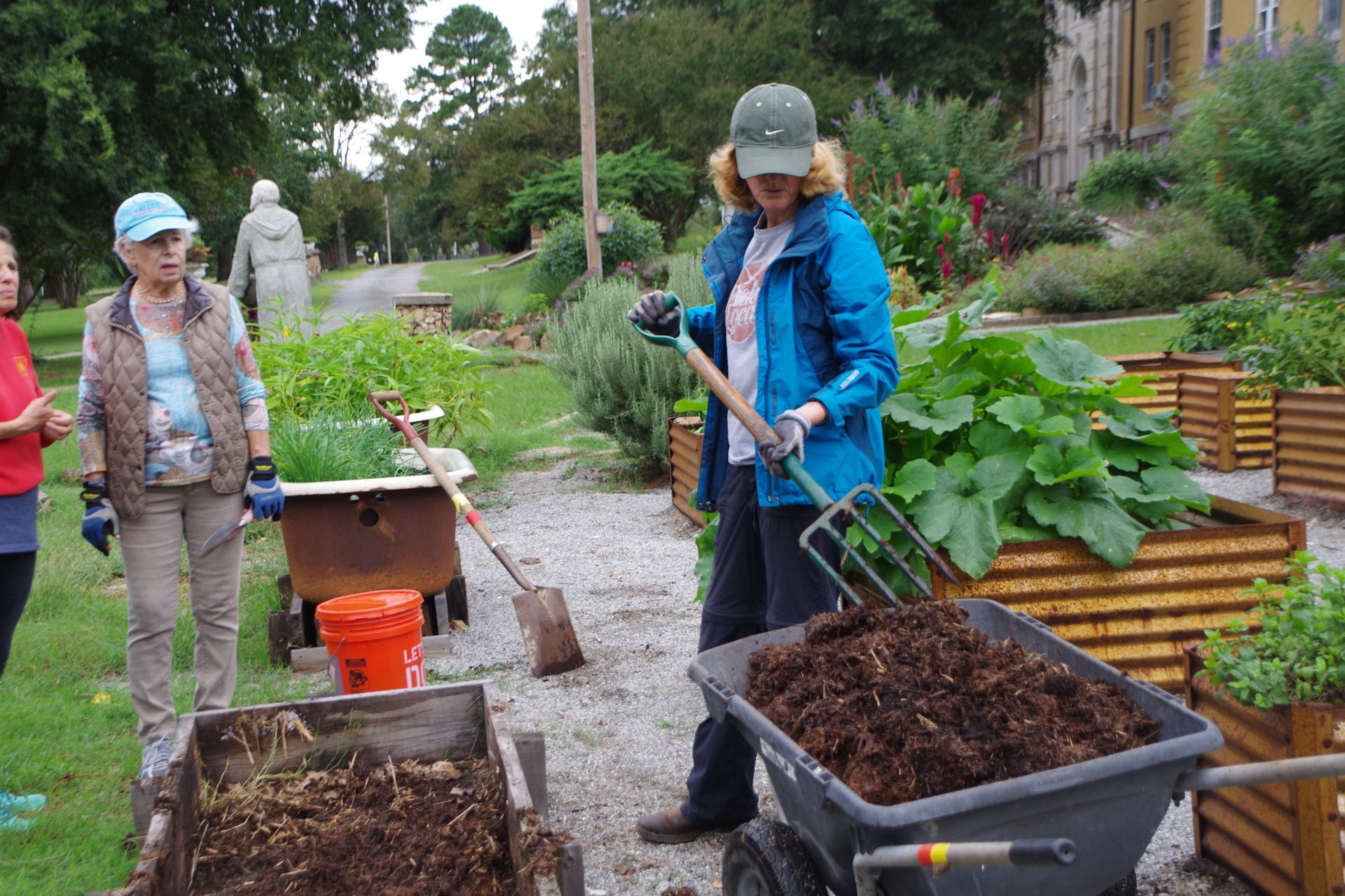 Four people, outdoors, tending to a garden; sunny day; plants, brown soil.