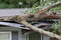 A large tree has fallen across the roof of a house, causing structural damage to the eaves and roofing materials.