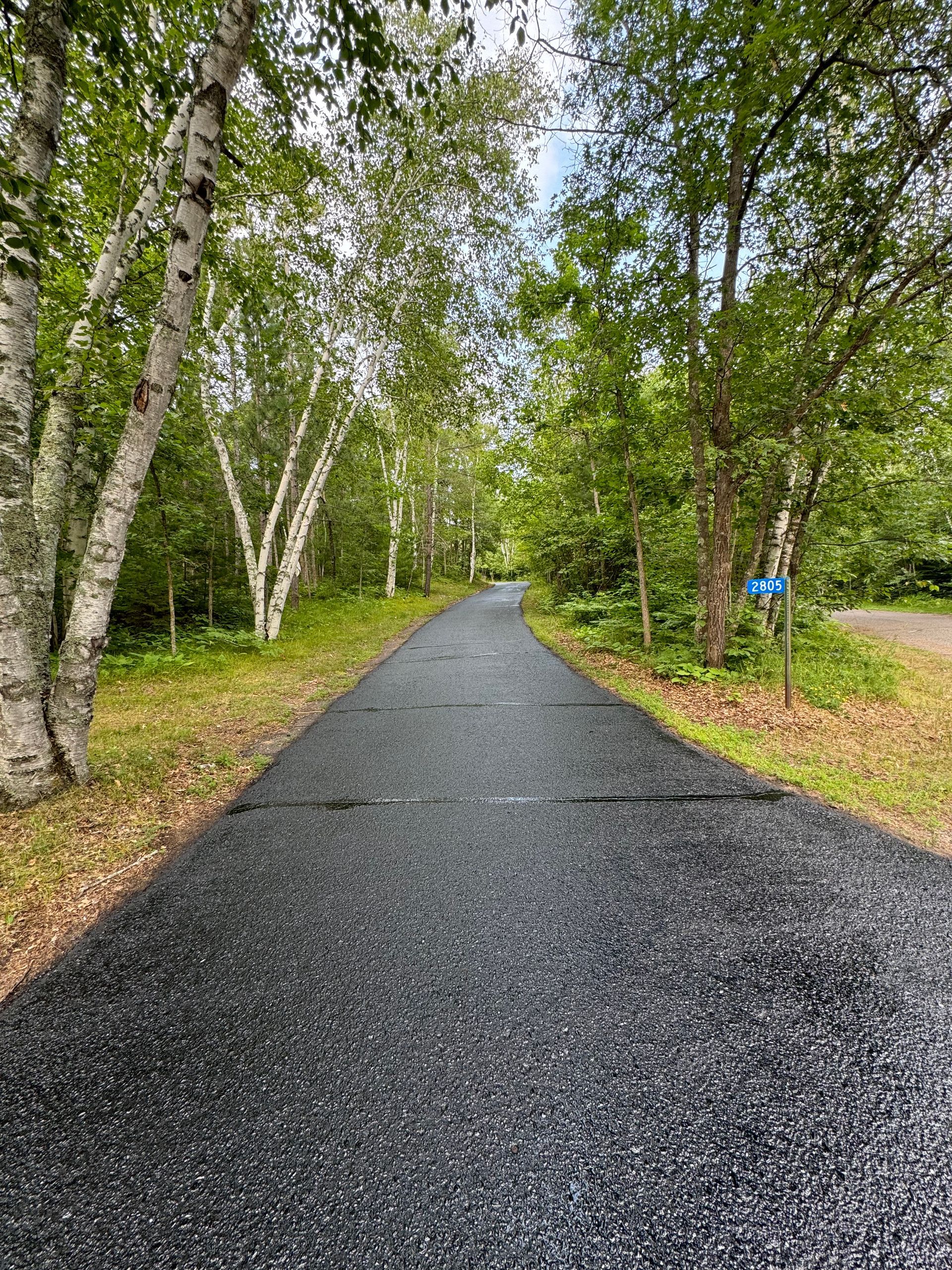 A road going through a forest with trees on both sides.