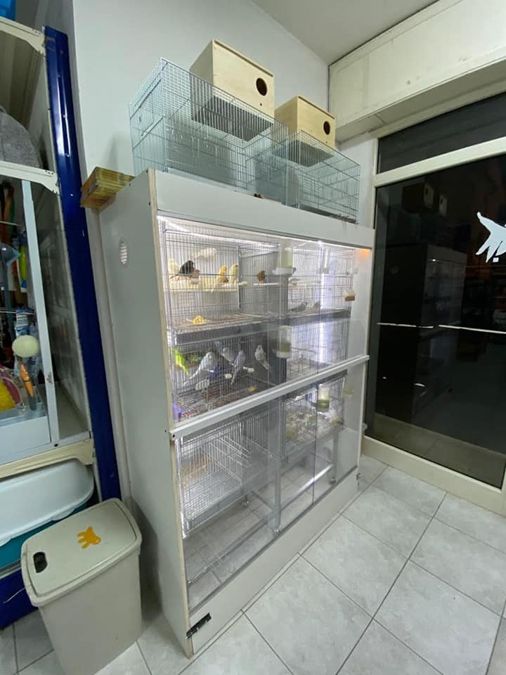 negozio di uccelli tropicali