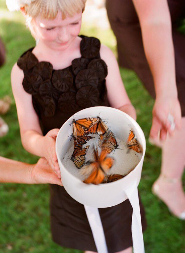 Young girl in black dress holding a round box with monarch butterflies, outdoors.