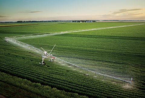 Irrigation systems from plymouth irrigation inc, watering green crops